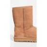 Bottes UGG Classic Short II | Look Élégant